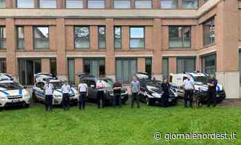 Giornata di addestramento cinofilo per forze Polizia Locale ad Oderzo - Giornale Nord Est