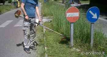 Erba alta, Luciani: "Fatta una programmazione, a breve raggiungeremo ogni zona del territorio" - Orvietosì.it - OrvietoSì