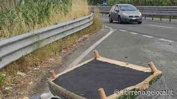 Erba alta e rifiuti abbandonati: sulla Variante trionfa l’inciviltà - Il Tirreno