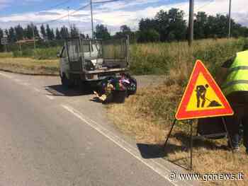 Da giugno a settembre sfalcio erba sulle provinciali dell'Empolese Valdelsa - gonews