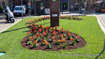 Viterbo, erba alta in città. Il sindaco: “Sul verde lavoreranno 4 ditte” | Foto - Corriere di Viterbo