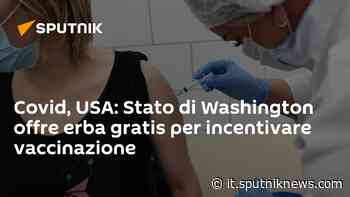 Covid, USA: Stato di Washington offre erba gratis per incentivare vaccinazione - Sputnik Italia