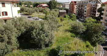 Viterbo, erba alta e degrado. Proteste ovunque. Il sindaco: "Ancora pochi giorni e sistemeremo tutto" - Corriere di Viterbo