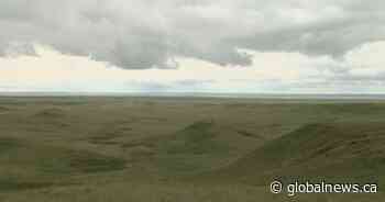 $76K raised for Saskatchewan grasslands through SGI rebates fundraiser