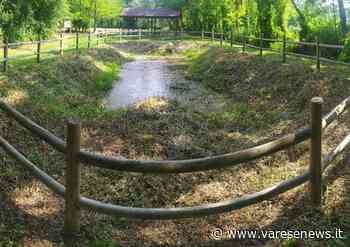 Angera Erba tagliata al laghetto dell'oasi, la protesta del consigliere Manica - varesenews.it