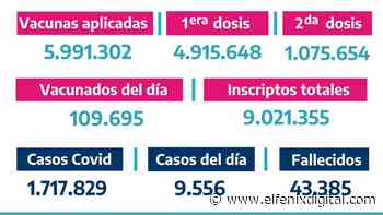 Situación de Coronavirus en Provincia de Buenos Aires 12/06/2021 - El Fenix Digital