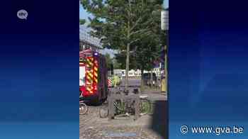 Hertje op wandel op het Eilandje (Antwerpen) - Gazet van Antwerpen