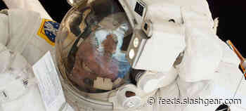 NASA asked for proposals for its next pair of private ISS missions