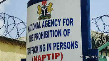 NAPTIP receives 48 rescued victims of trafficking in Kano - Guardian Nigeria