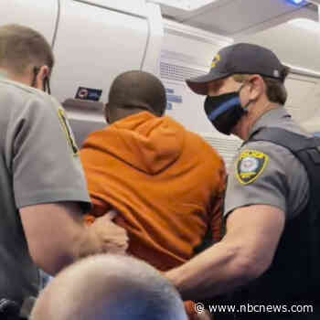 Unruly passenger on diverted Delta Air Lines flight identified as off-duty flight attendant