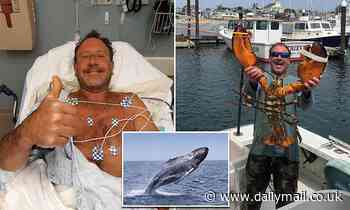 Doctors and experts cast doubt on Cape Cod lobsterman claim he was swallowed WHOLE by humpback whale
