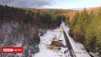'Quick fixes' to the climate crisis risk harming nature