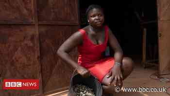 Guinea-Bissau’s cashew farmers survive tough times