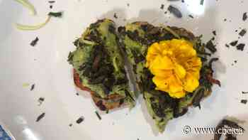 How to cook the perfect cicada