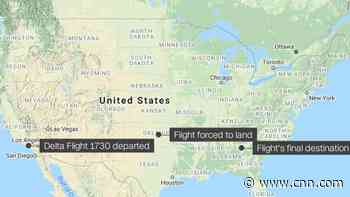 Delta passengers and crew subdue unruly passenger