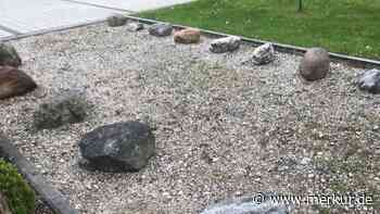 Verbot von Steinwüsten und Schottergärten - Merkur Online