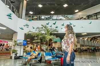 Salvador Bahia Airport celebra Mês do Meio Ambiente com exposição de pássaro no terminal - AEROIN