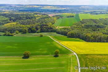 Neukirchen plant Friedwald vor den Toren von Chemnitz - TAG24