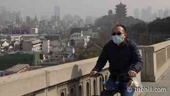 G7 leaders call for investigation into coronavirus origins