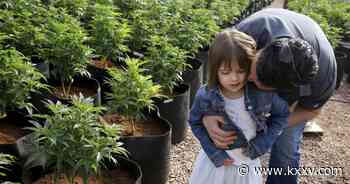 LIST: Who qualifies for medical marijuana program in Texas, following SB 1535 - KXXV News Channel 25