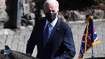 Majority of Americans trust Biden to negotiate well with foreign leaders: poll