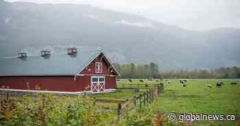 Advocates call for stronger migrant workers rights amid deaths on the job in Canada