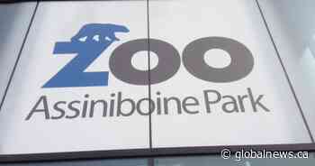 Assiniboine Park Zoo open to members Sunday, full opening Tuesday