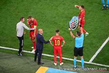 Witsel gaat al mee naar Denemarken, Vertonghen twijfelachtig
