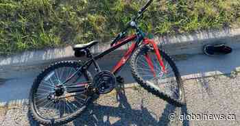 11-year-old boy dead after being struck by vehicle in Markham, OPP say - Globalnews.ca