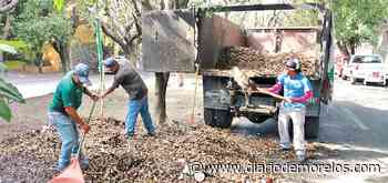 Arreglan camellón en Cuernavaca - Diario de Morelos