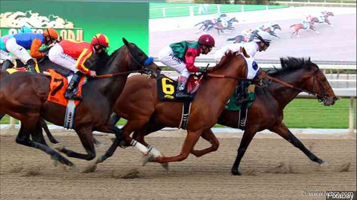 Louisiana would expand gambling on horse racing under bill