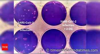 2-DG drug initially developed for cancer treatment, lures coronavirus by looking like glucose: Former DRD - Times of India