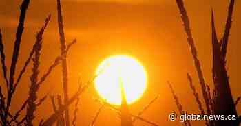 Heat warnings issued for large swath of Alberta