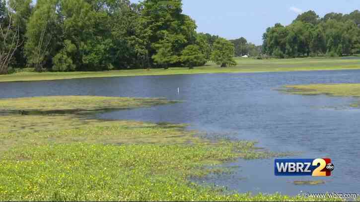 Public can weigh in on LSU Lakes project at public meeting