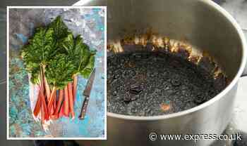 Cleaning: Mrs Hinch fans share rhubarb boiling hack to clean dirty pots and pans - Express