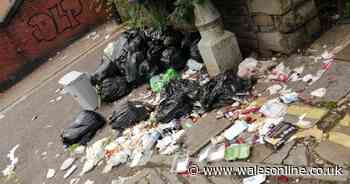 The mess of rotting food and dirty nappies that's been feasted on by rats for years outside a woman's home - Wales Online