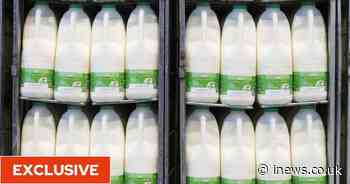 Food shortages, fresh produce left to rot and prices to rise amid lorry driver ‘crisis’ - iNews