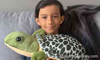 Carleton Place author making a splash with 'Bob the Turtle' book - Ottawa Valley News