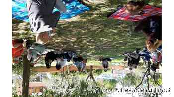 ’Outdoor education’ a Bertinoro Fratto: "Orgogliosi del progetto" - il Resto del Carlino