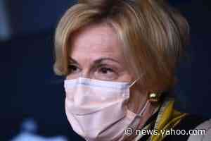 Deborah Birx reportedly called fighting the pandemic and Scott Atlas 'together' the 'hardest thing I've had to do' - Yahoo News