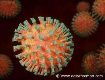 Coronavirus cases in Dutchess remain below 100 - The Daily Freeman