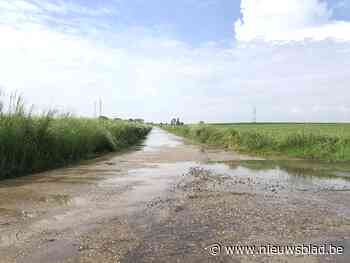 'Waterplassenproject' pakt overlast op ruilverkavelingswege... (Riemst) - Het Nieuwsblad
