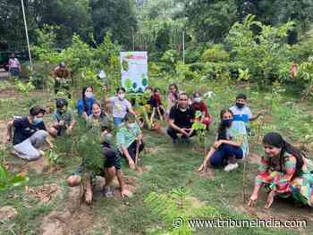 A ‘micro forest’ created by schoolkids in city - The Tribune