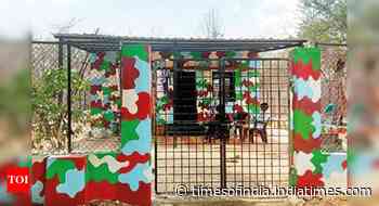 Retired Mumbai professor spruces up forest protection hut in hubby’s memory - Times of India