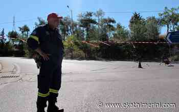 Fire prevention measures for Seich Sou forest - Kathimerini English Edition