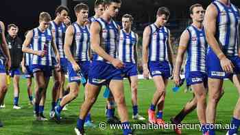 North Melbourne find positives in AFL draw - The Maitland Mercury