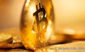 Bitcoin, NFTs the Top Assets for Millennial Millionaires: Survey