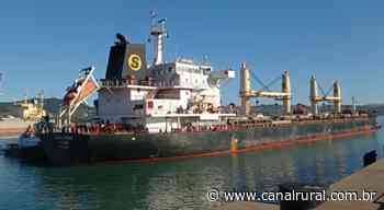 Navio com 30 mil toneladas de milho chega ao porto de Imbituba - Canal Rural