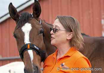Butler County agricultural tech startup Farm Jenny wants to protect horses against viral infections