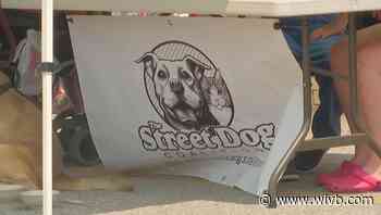 Veterinary clinic for homeless people's dogs coming to Buffalo